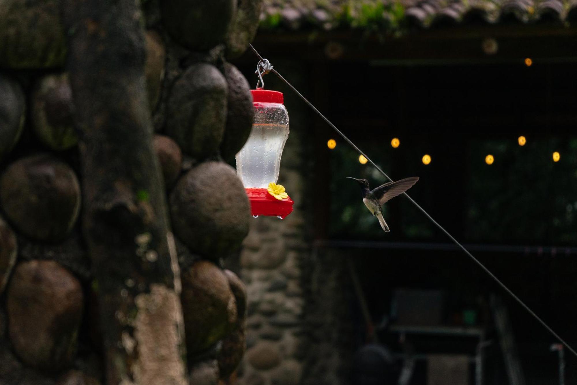 Camping Pura Vista Glamping