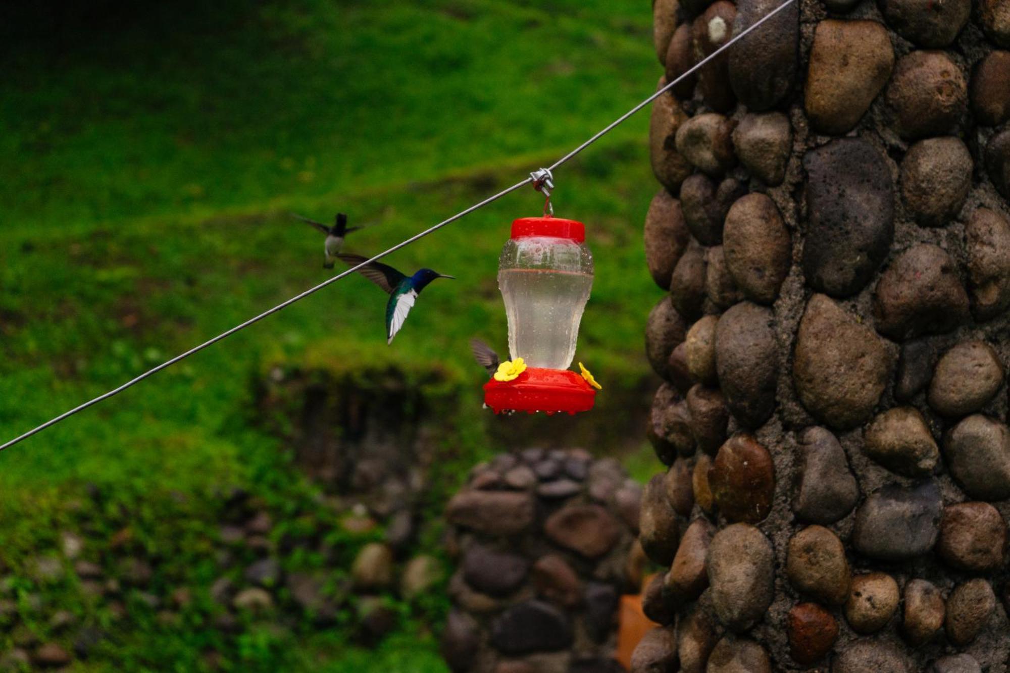 Pura Vista Glamping *